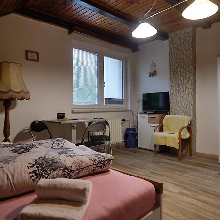 Penzion U Krbu Hotel Loket Buitenkant foto