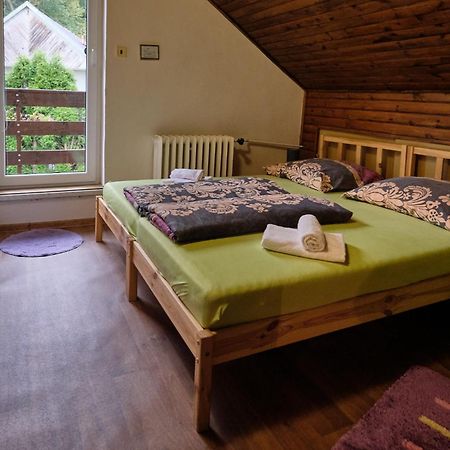 Penzion U Krbu Hotel Loket Buitenkant foto