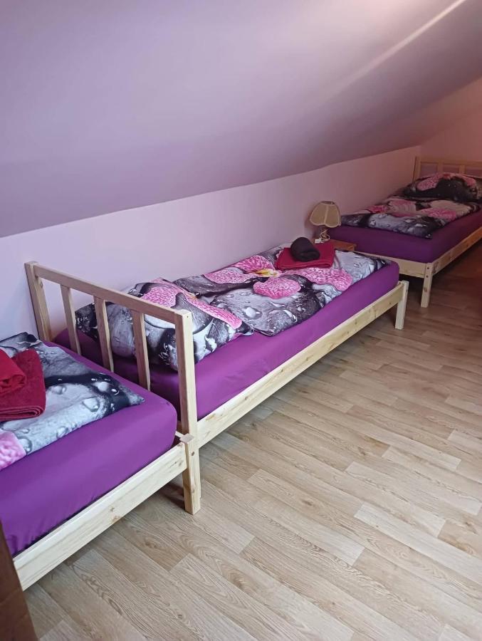 Penzion U Krbu Hotel Loket Buitenkant foto