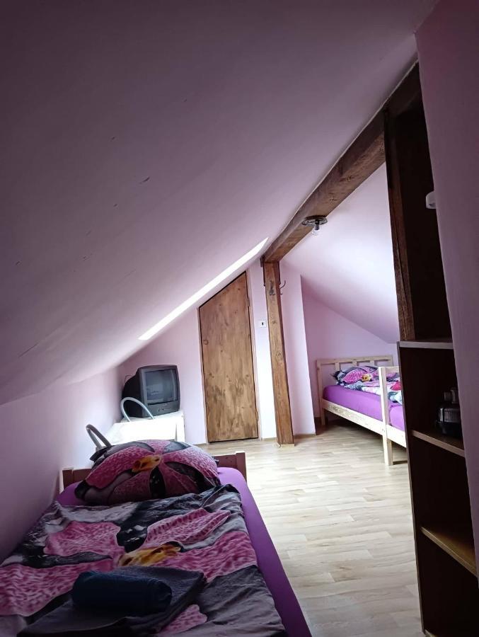 Penzion U Krbu Hotel Loket Buitenkant foto