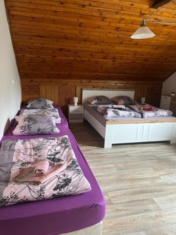 Penzion U Krbu Hotel Loket Buitenkant foto