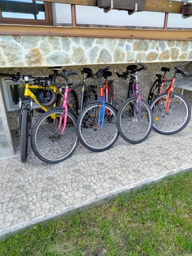 Penzion U Krbu Hotel Loket Buitenkant foto